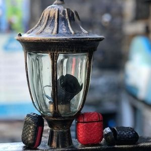 Python leather AirPods case